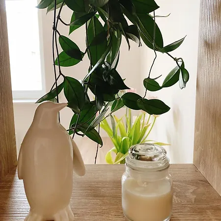 Grand F1 Sécurisé Hypercentre Calme 3mins De La Gare Appartamento *