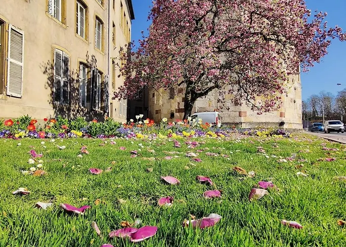 Grand Securise Hypercentre Calme 3 Mins De La Gare Apartmán Thionville